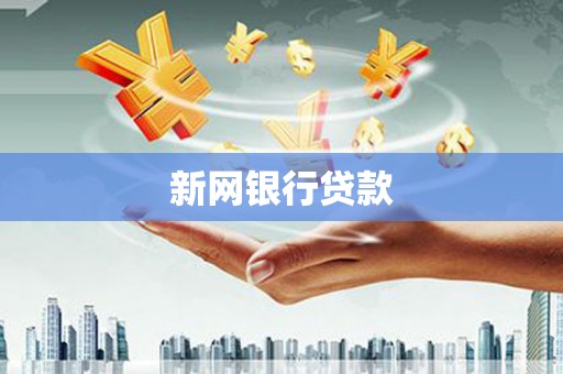 河东新网银行贷款