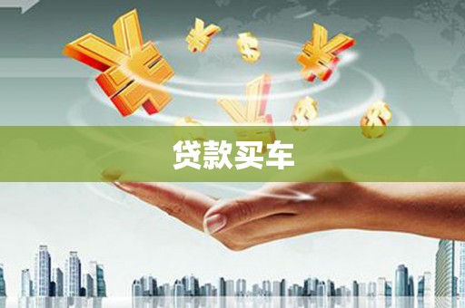 文县贷款买车