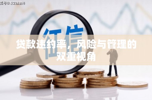 响水贷款违约率，风险与管理的双重视角