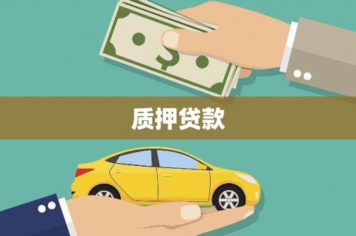 文县质押贷款