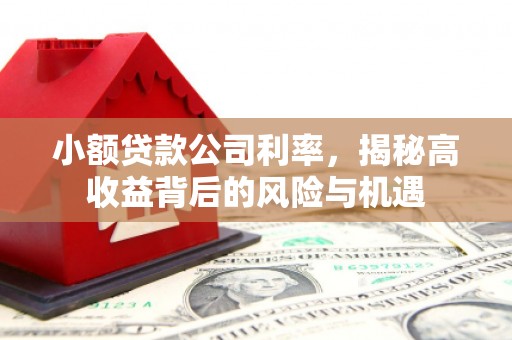 黄陵小额贷款公司利率，揭秘高收益背后的风险与机遇