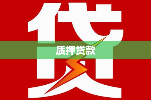 单县质押贷款