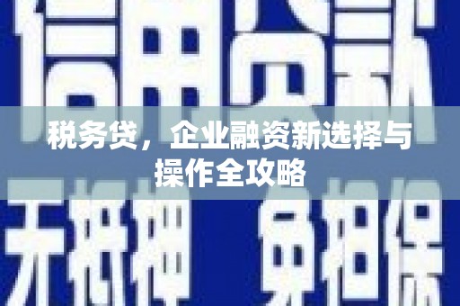 凤县税务贷，企业融资新选择与操作全攻略