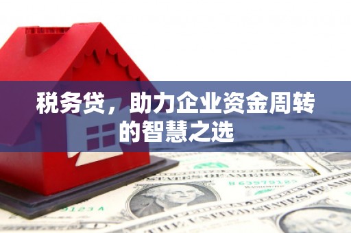 桑日税务贷，助力企业资金周转的智慧之选