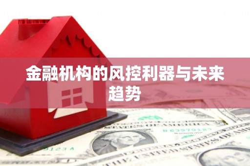 澧县金融机构的风控利器与未来趋势