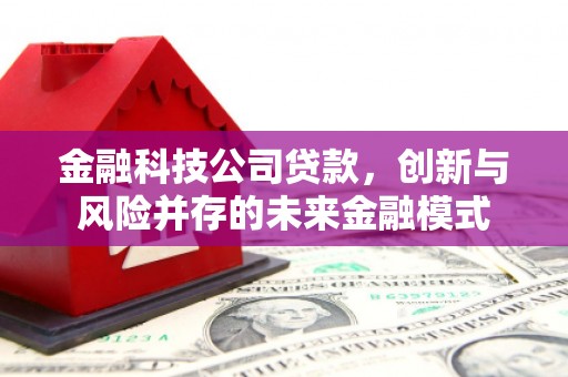 平阳金融科技公司贷款，创新与风险并存的未来金融模式