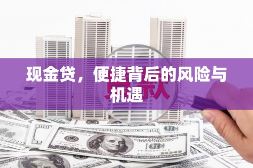 芳苑现金贷，便捷背后的风险与机遇