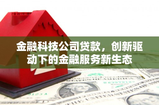 西林金融科技公司贷款，创新驱动下的金融服务新生态