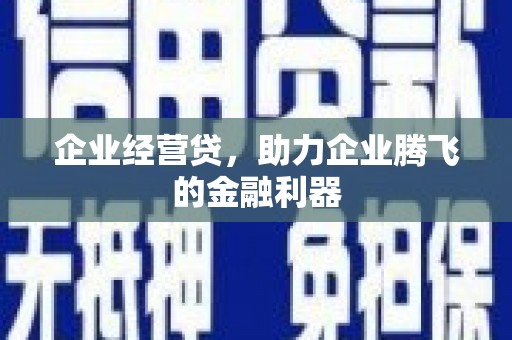 西林企业经营贷，助力企业腾飞的金融利器