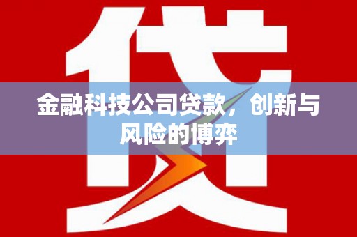 万年金融科技公司贷款，创新与风险的博弈