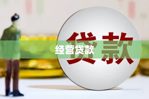新洲经营贷款