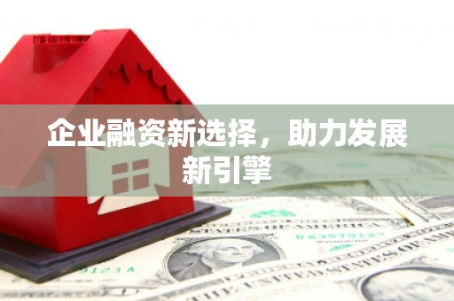左贡企业融资新选择，助力发展新引擎