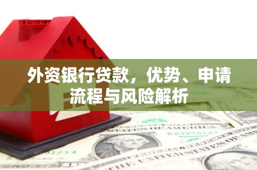 左贡外资银行贷款，优势、申请流程与风险解析