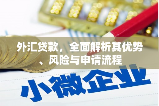 左贡外汇贷款，全面解析其优势、风险与申请流程