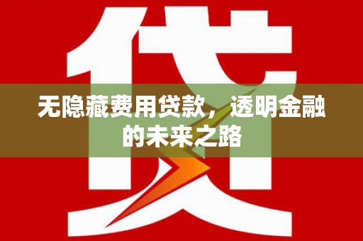 内丘无隐藏费用贷款，透明金融的未来之路