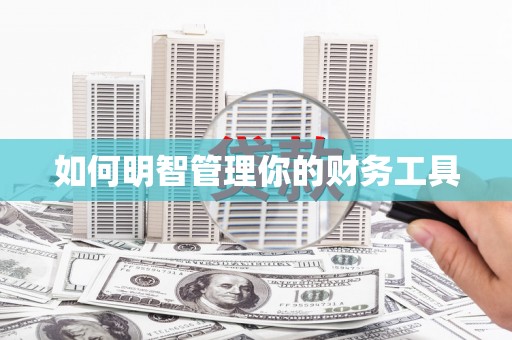 左贡如何明智管理你的财务工具