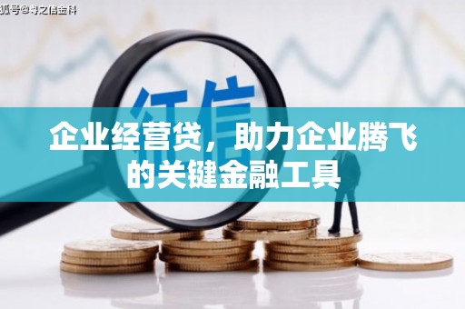 林园企业经营贷，助力企业腾飞的关键金融工具