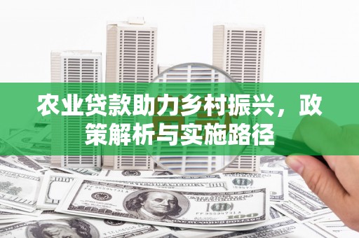 天元农业贷款助力乡村振兴，政策解析与实施路径