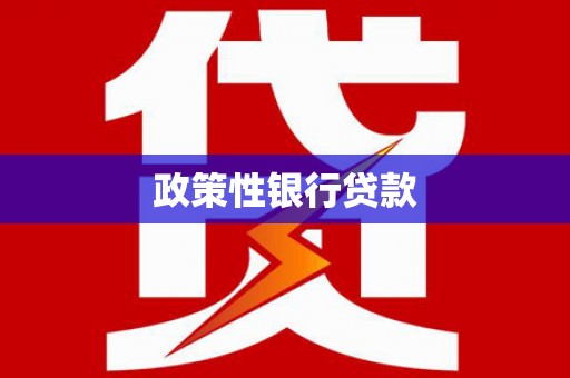 长海政策性银行贷款