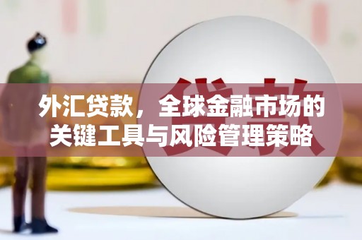 肃宁外汇贷款，全球金融市场的关键工具与风险管理策略