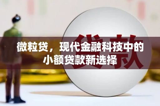 临川微粒贷，现代金融科技中的小额贷款新选择