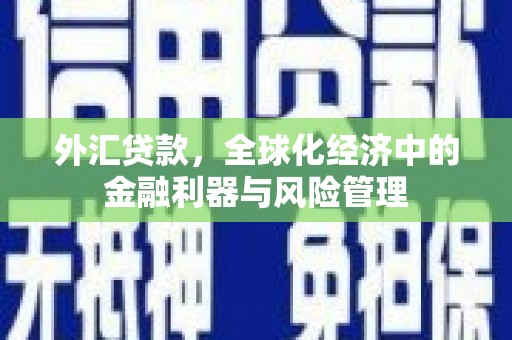 钟祥外汇贷款，全球化经济中的金融利器与风险管理