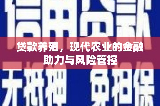 大丰贷款养殖，现代农业的金融助力与风险管控