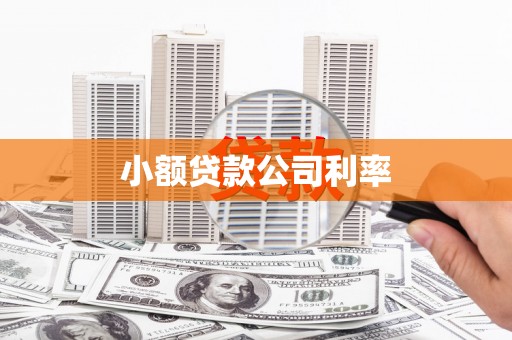 安顺小额贷款公司利率