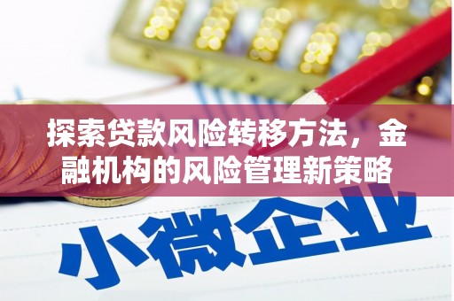 临潭探索贷款风险转移方法，金融机构的风险管理新策略