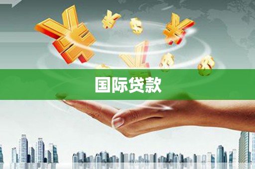 洱源国际贷款