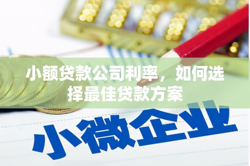 阿里山小额贷款公司利率，如何选择最佳贷款方案