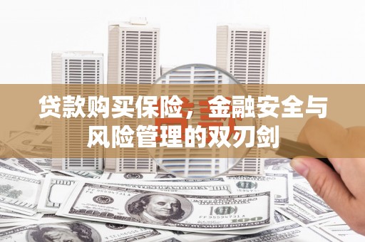 张掖贷款购买保险，金融安全与风险管理的双刃剑
