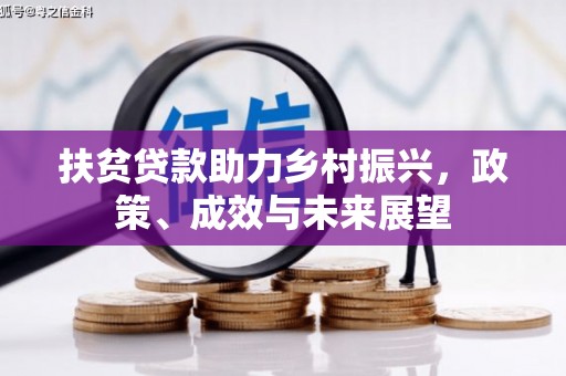 大丰扶贫贷款助力乡村振兴，政策、成效与未来展望