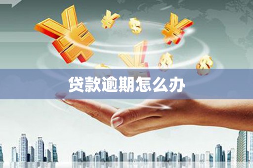 安源贷款逾期怎么办