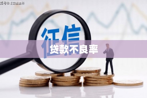 安源贷款不良率