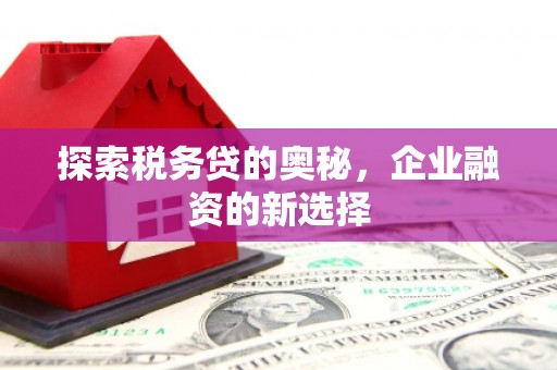 靖州探索税务贷的奥秘，企业融资的新选择