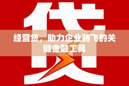 东明经营贷，助力企业腾飞的关键金融工具