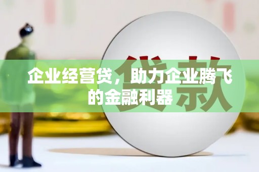 板桥企业经营贷，助力企业腾飞的金融利器