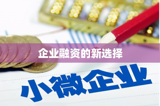 新兴企业融资的新选择