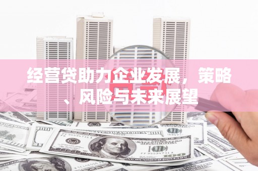 大冶经营贷助力企业发展，策略、风险与未来展望