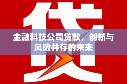 大冶金融科技公司贷款，创新与风险并存的未来