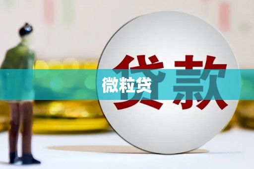 金口河微粒贷