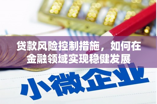 平阳贷款风险控制措施，如何在金融领域实现稳健发展