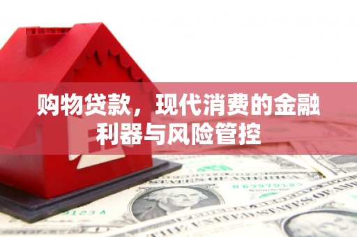 泰武购物贷款，现代消费的金融利器与风险管控