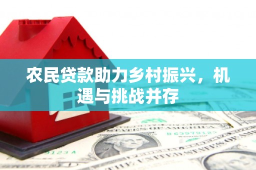 宜兰农民贷款助力乡村振兴，机遇与挑战并存
