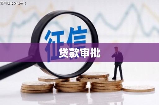 德州贷款审批