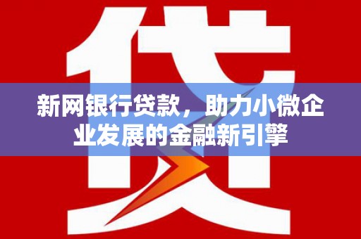 苍南新网银行贷款，助力小微企业发展的金融新引擎