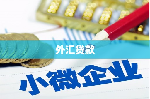 离石外汇贷款