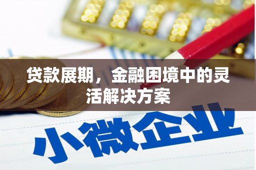 禹王台贷款展期，金融困境中的灵活解决方案