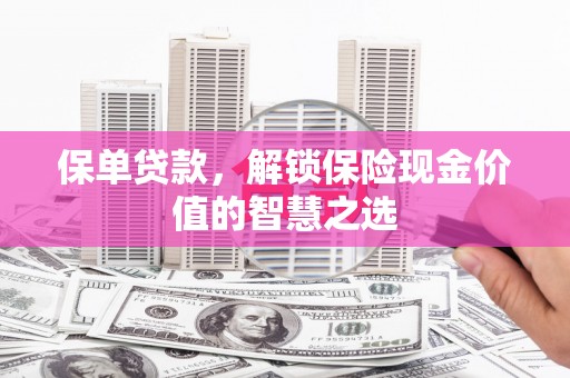 大甲保单贷款，解锁保险现金价值的智慧之选